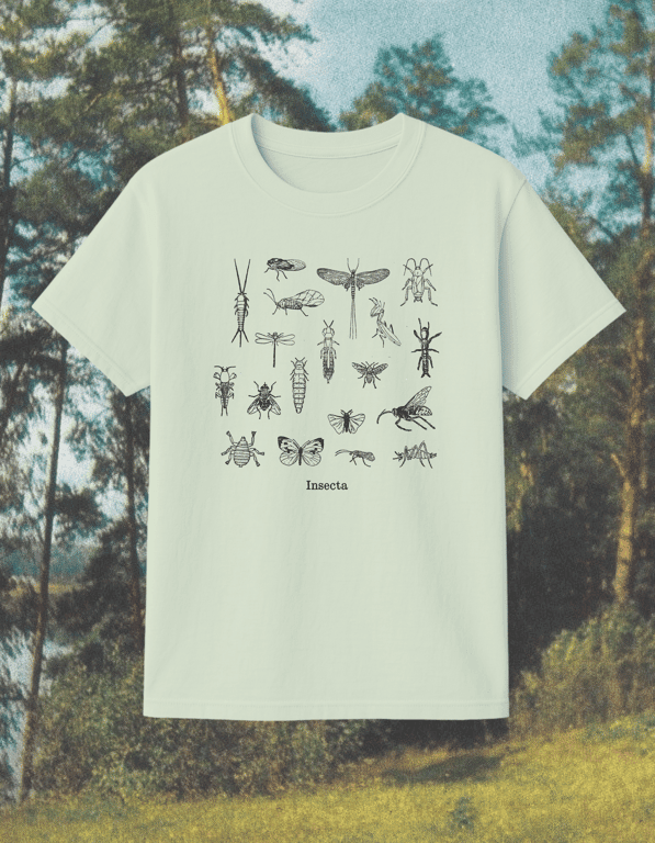 Insects print t-shirt