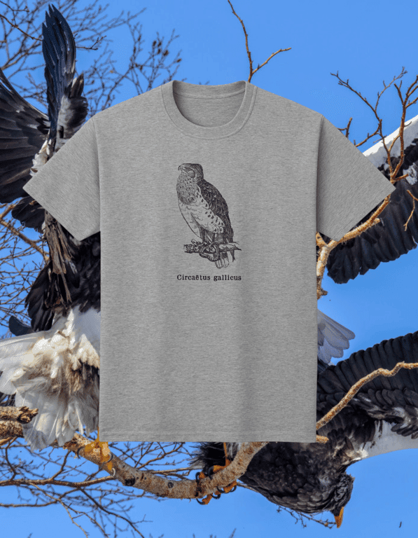 Circaetus print t-shirt