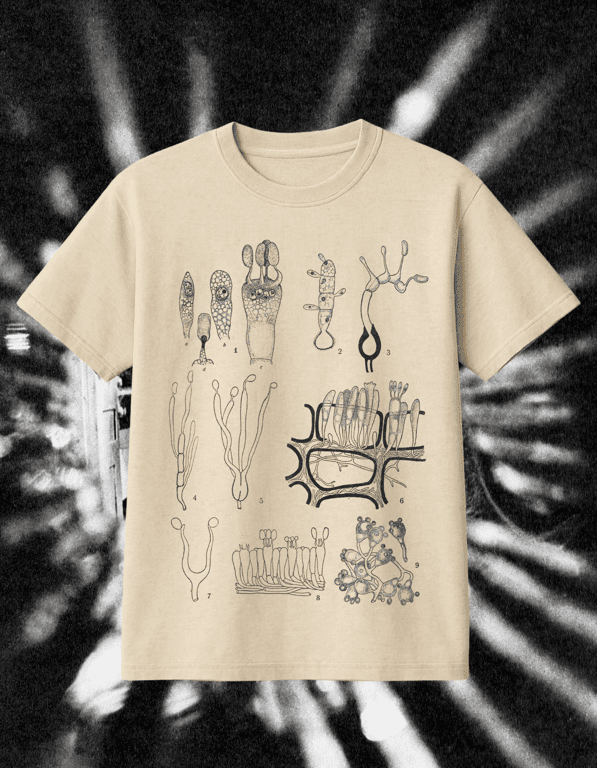 Bacterias print t-shirt