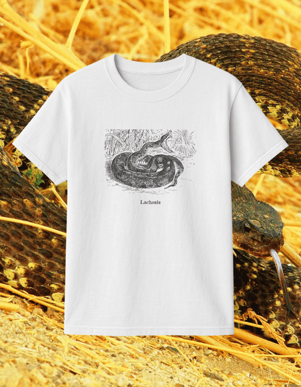 Lachesis print t-shirt