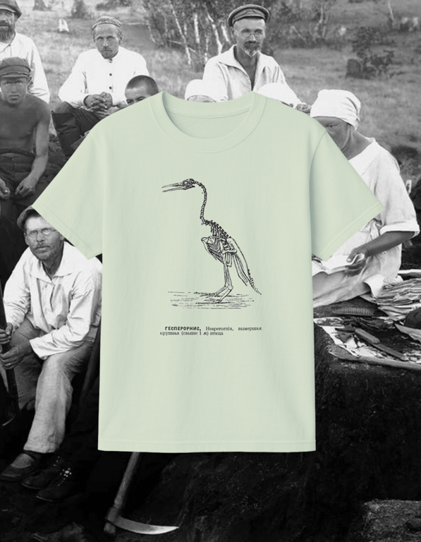 Hesperonis print t-shirt