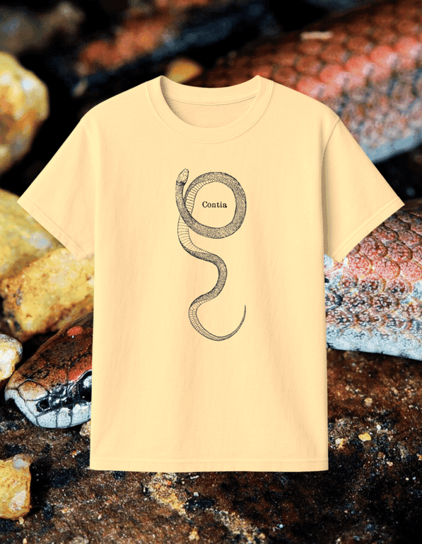 Contia print t-shirt