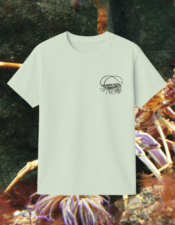 Langoustine print t-shirt