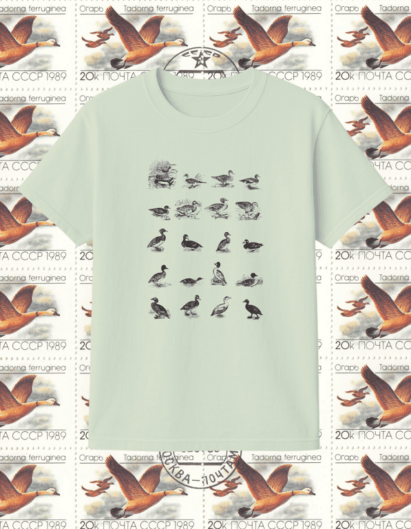Ducks print t-shirt