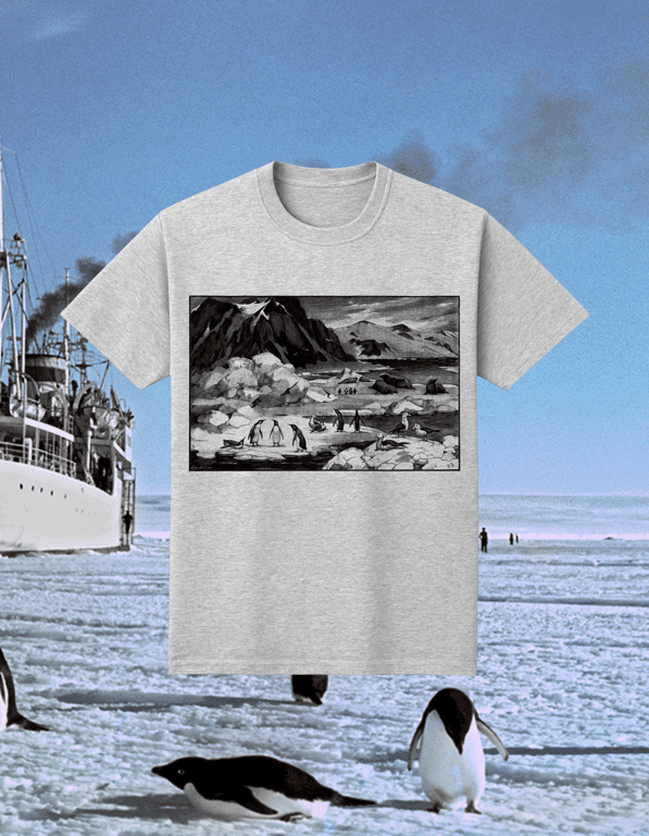 Antarctica print t-shirt